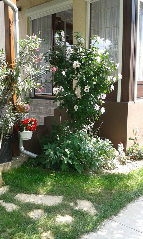 Holiday Apartmanház Zalakaros Dış mekan fotoğraf
